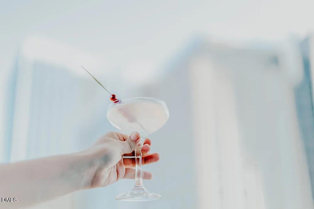 1016 Addison Place Property Photo 43