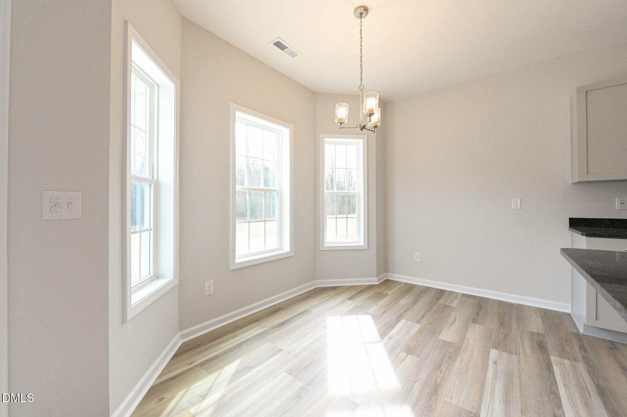 322 Black Duck Lane Property Photo 18