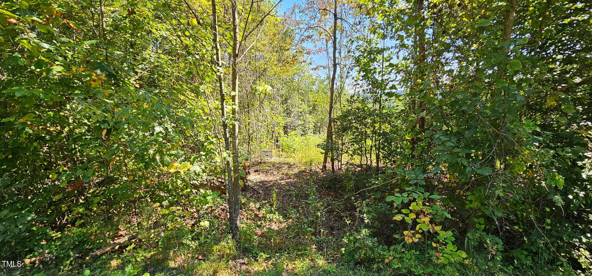 Lot 56 Billings Hill Church Road Property Photo 1