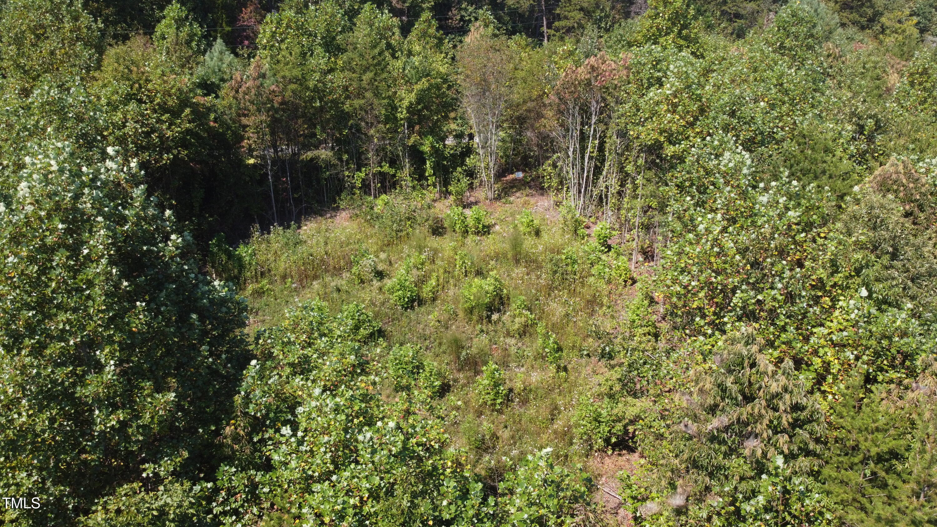 Lot 56 Billings Hill Church Road Property Photo 8