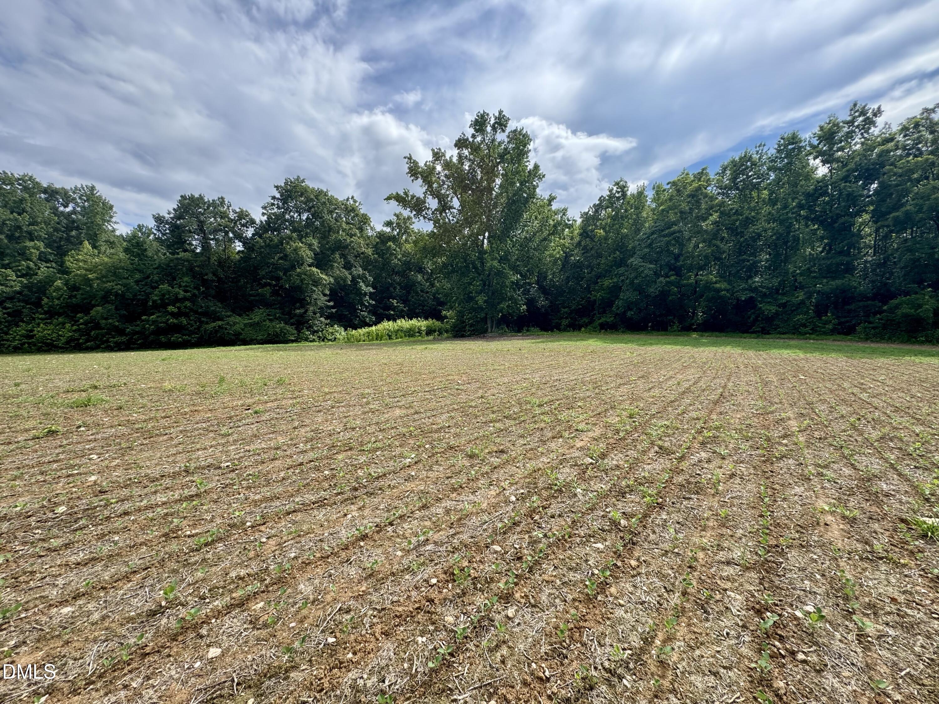 1001 Arthur Minnis Rd. Road Property Photo 1