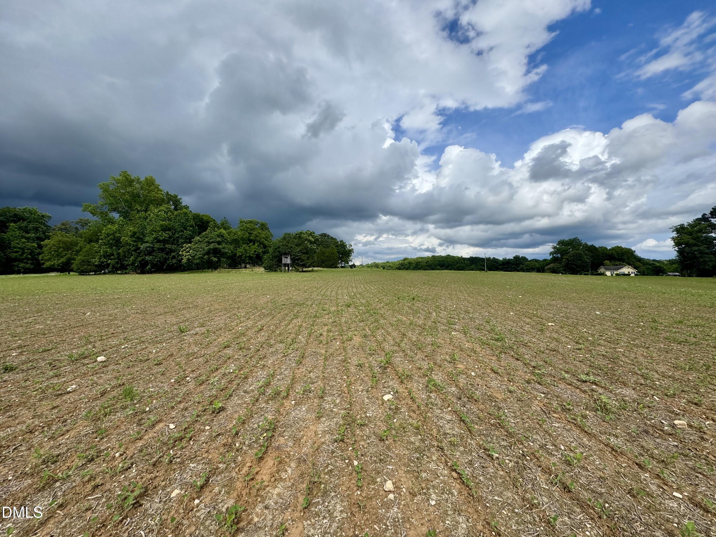 1001 Arthur Minnis Rd. Road Property Photo 3