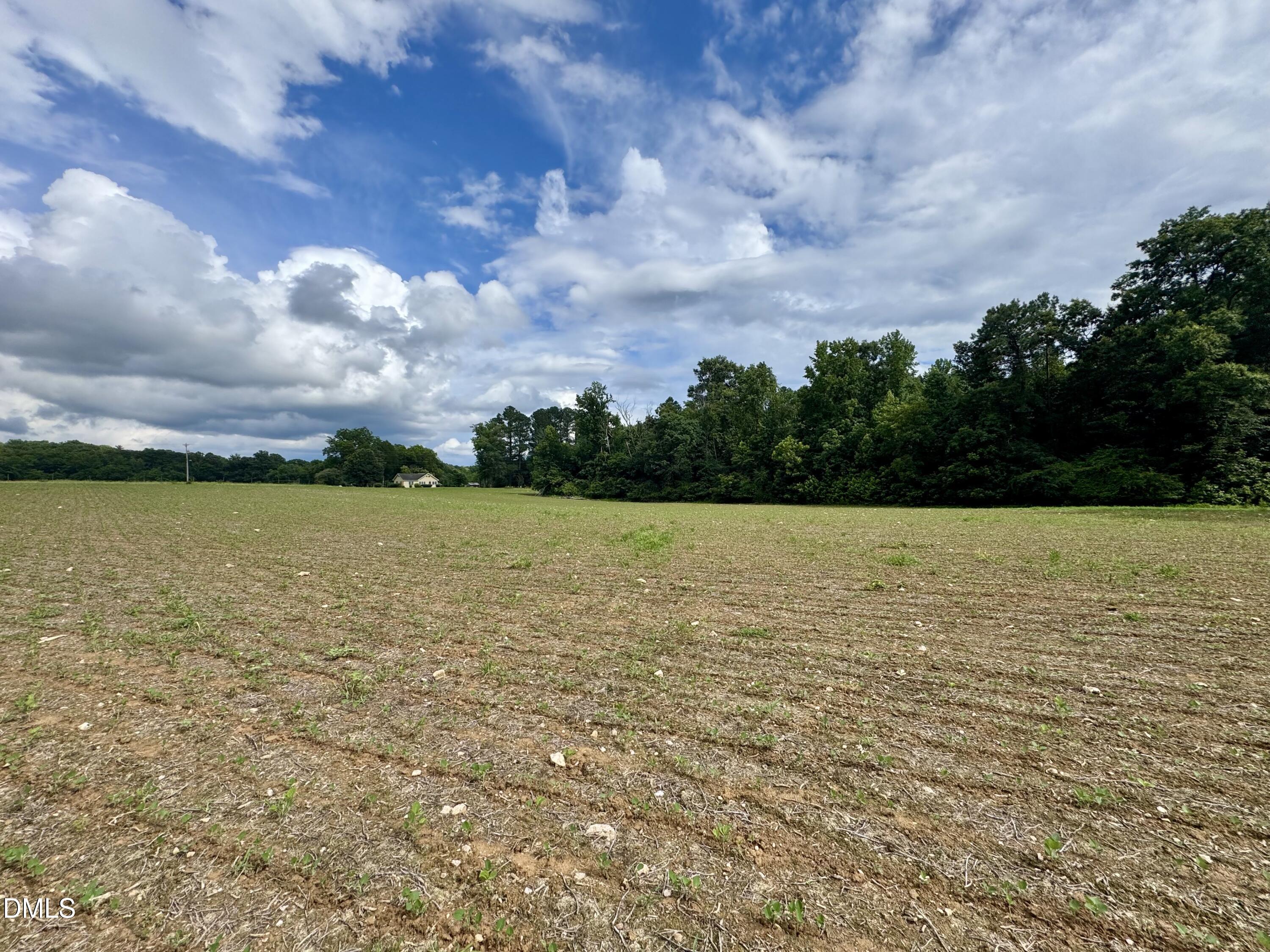 1001 Arthur Minnis Rd. Road Property Photo 4