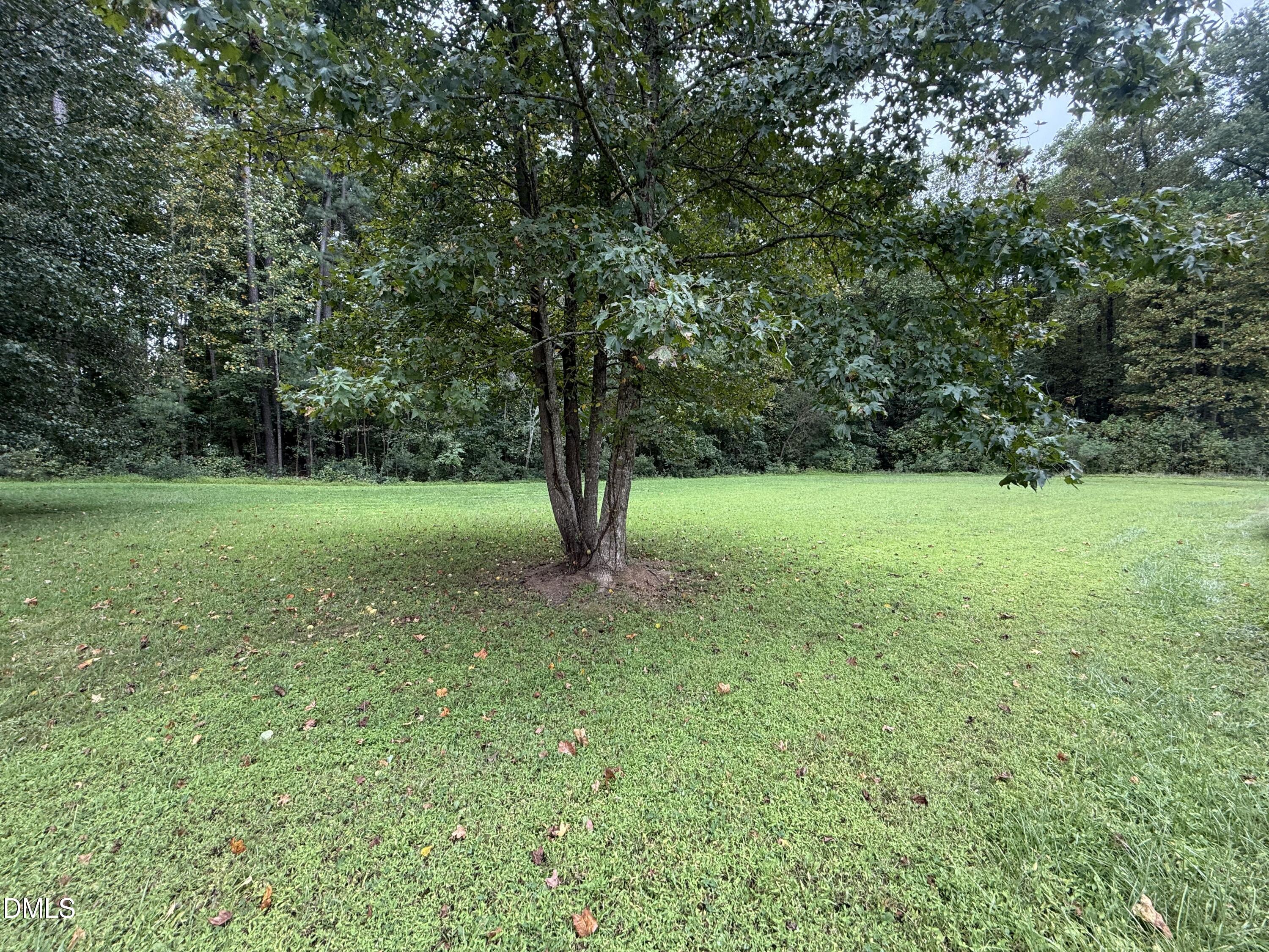 8008 Deer Meadow Drive Property Photo 4