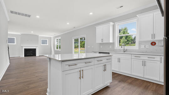 1517 Jasmine View Way Property Photo 14