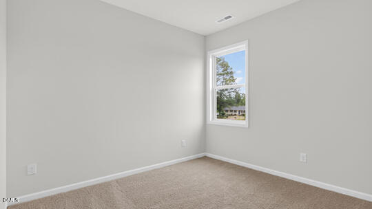 1517 Jasmine View Way Property Photo 17