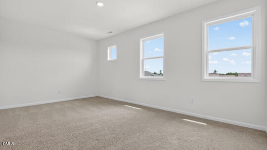 1517 Jasmine View Way Property Photo 21
