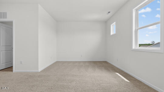 1517 Jasmine View Way Property Photo 22