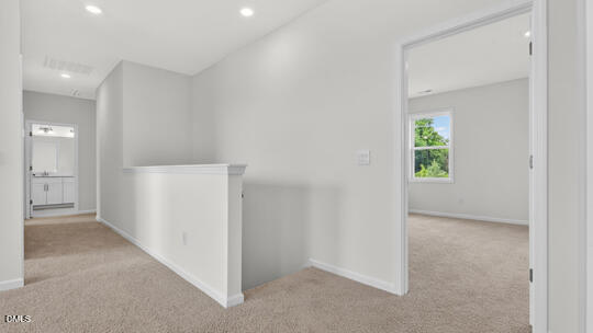 1517 Jasmine View Way Property Photo 23