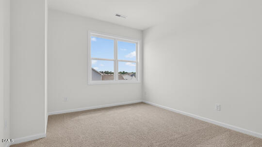 1517 Jasmine View Way Property Photo 26