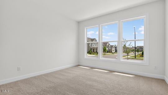 1517 Jasmine View Way Property Photo 31