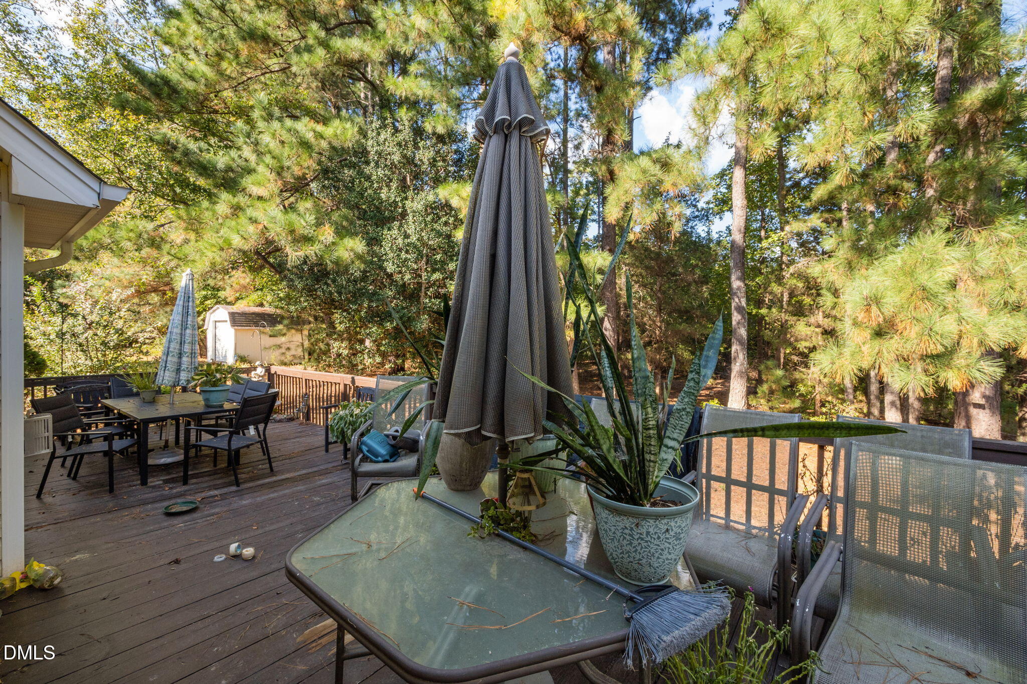 3538 Saddle Ridge Road Property Photo 7