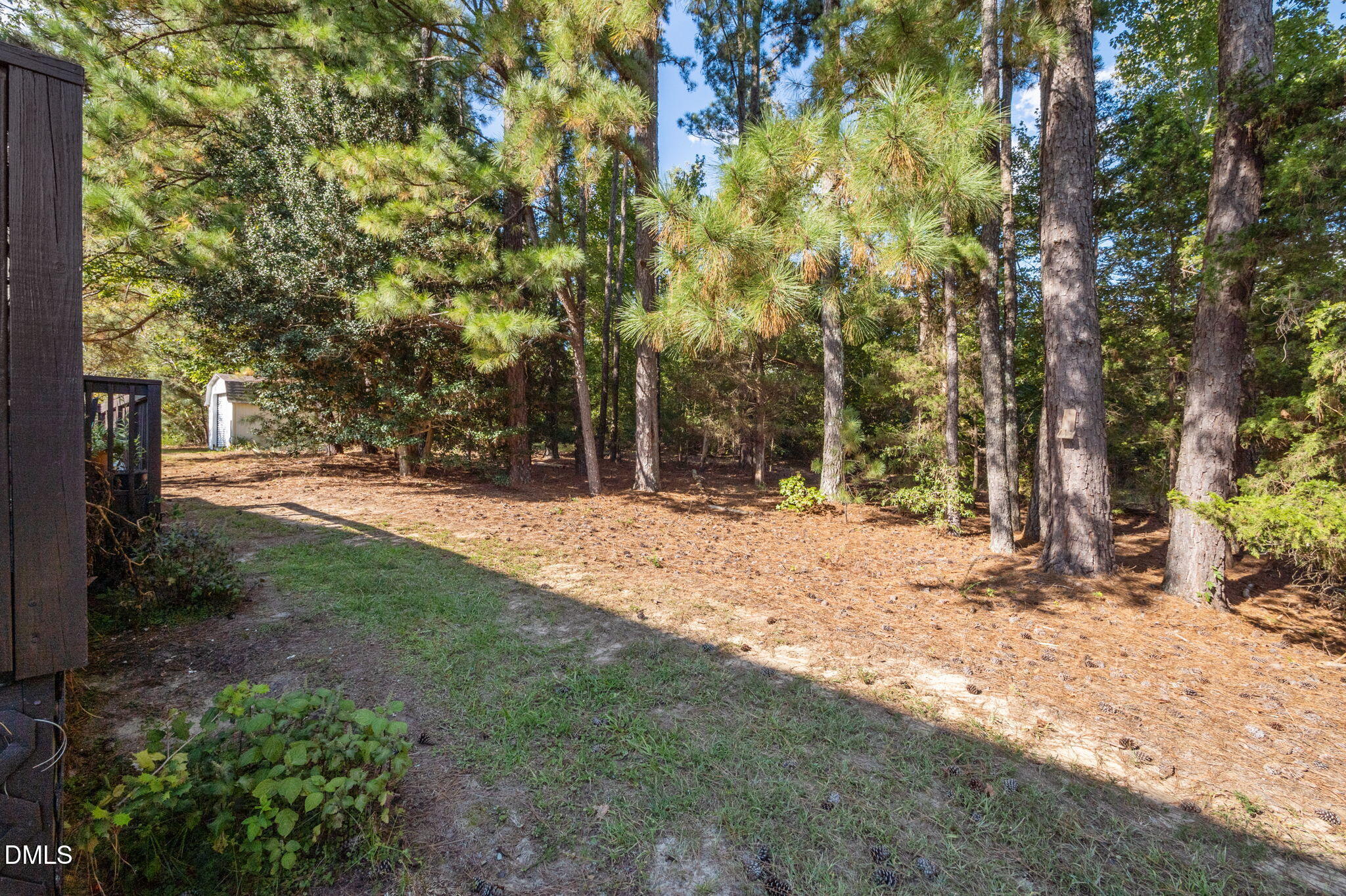 3538 Saddle Ridge Road Property Photo 10