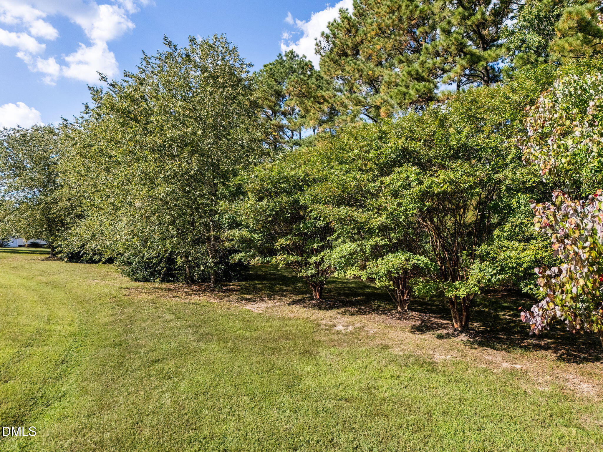 3538 Saddle Ridge Road Property Photo 47