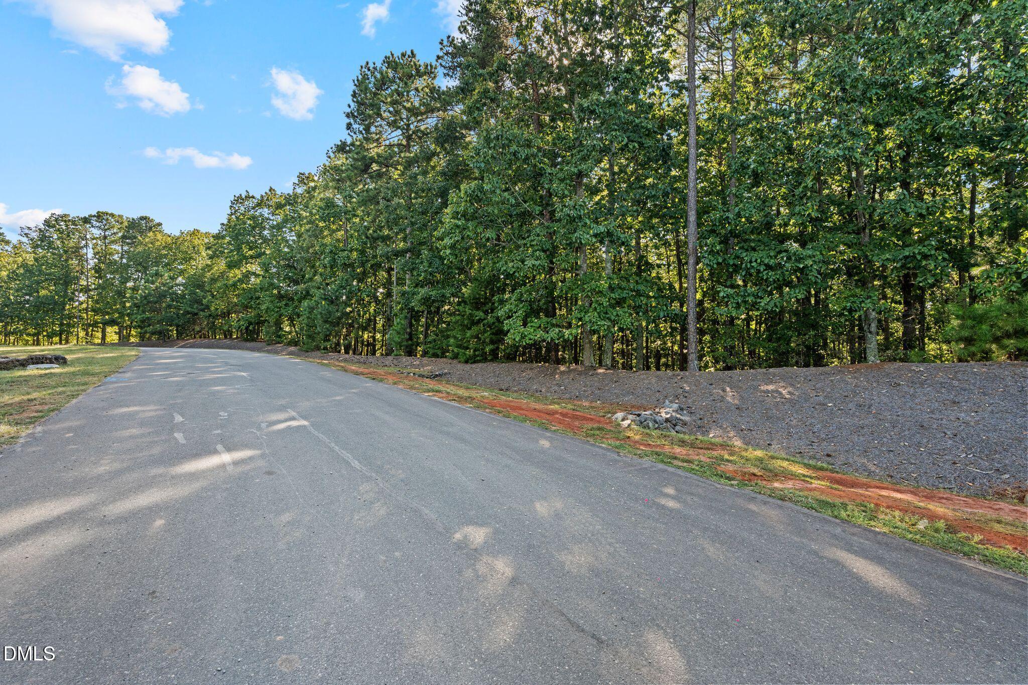 12612 Marsh Wren Court Property Photo 9