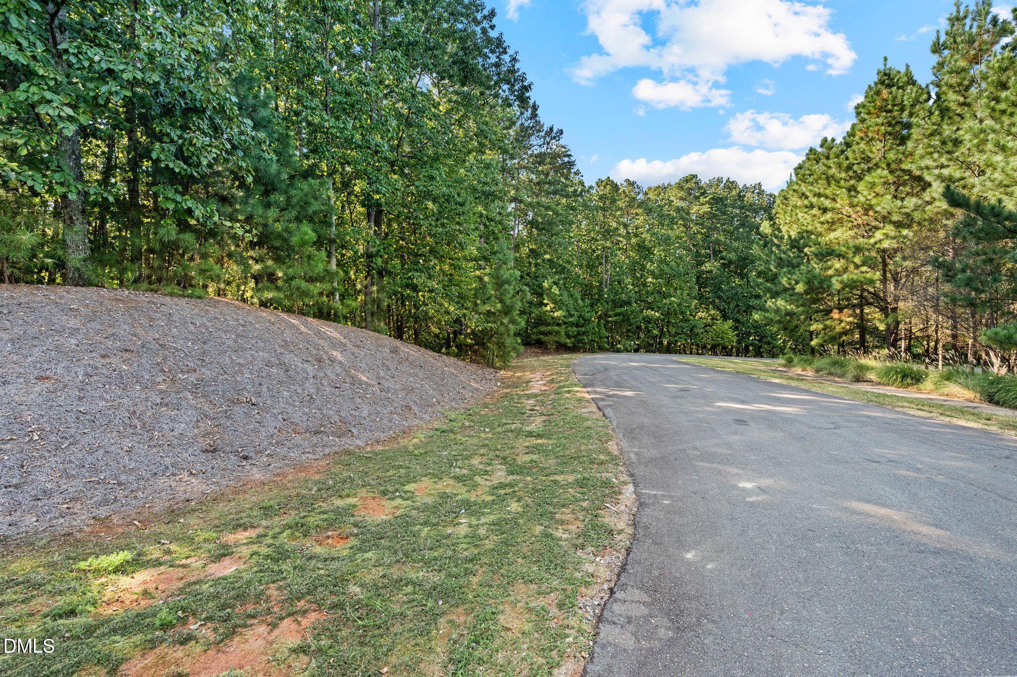 12612 Marsh Wren Court Property Photo 10