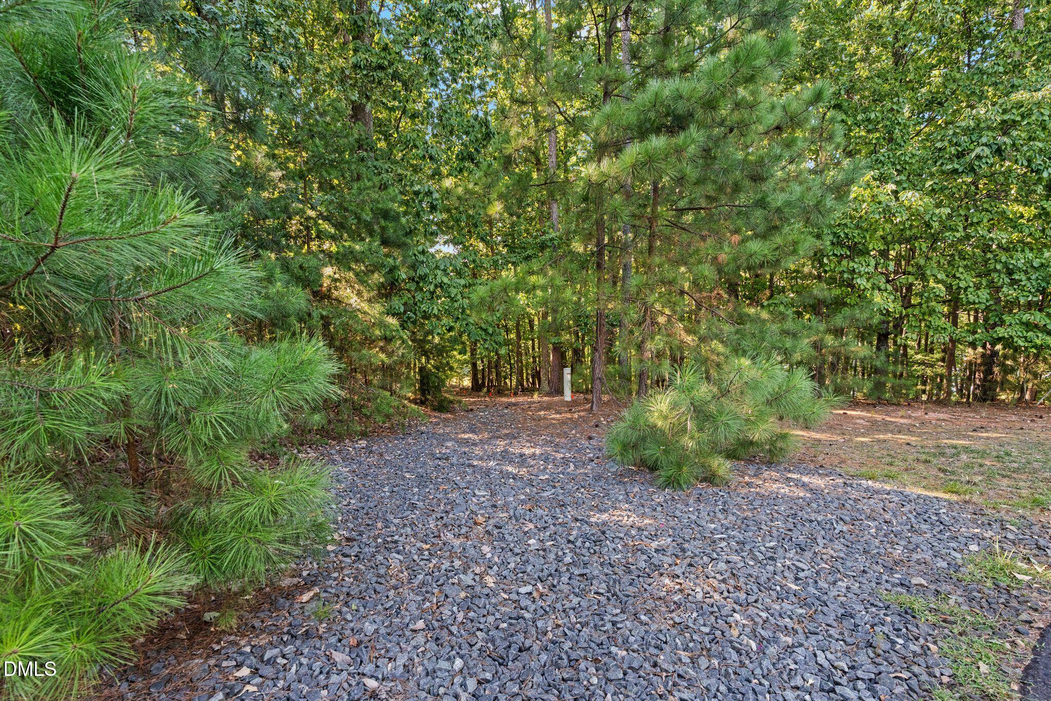 12612 Marsh Wren Court Property Photo 11