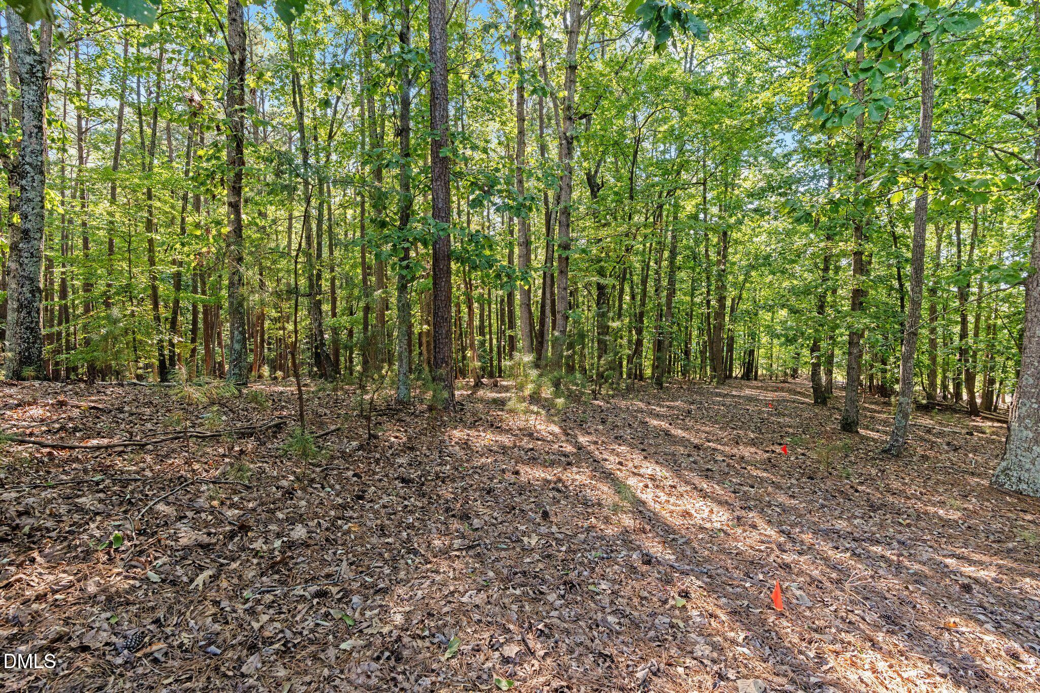 12612 Marsh Wren Court Property Photo 12