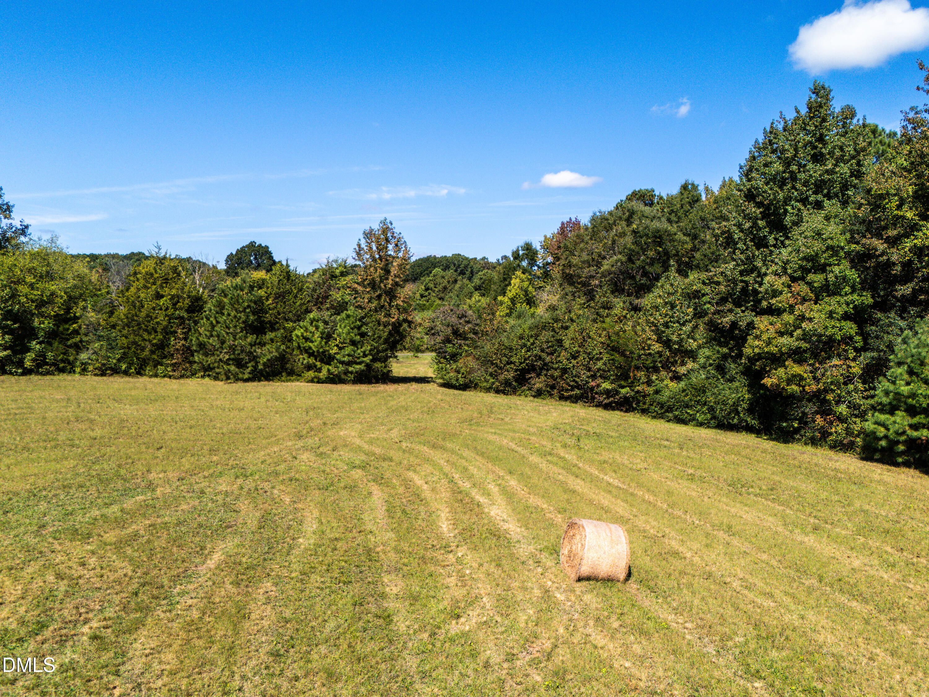 81 Little Creek Lane Property Photo 5