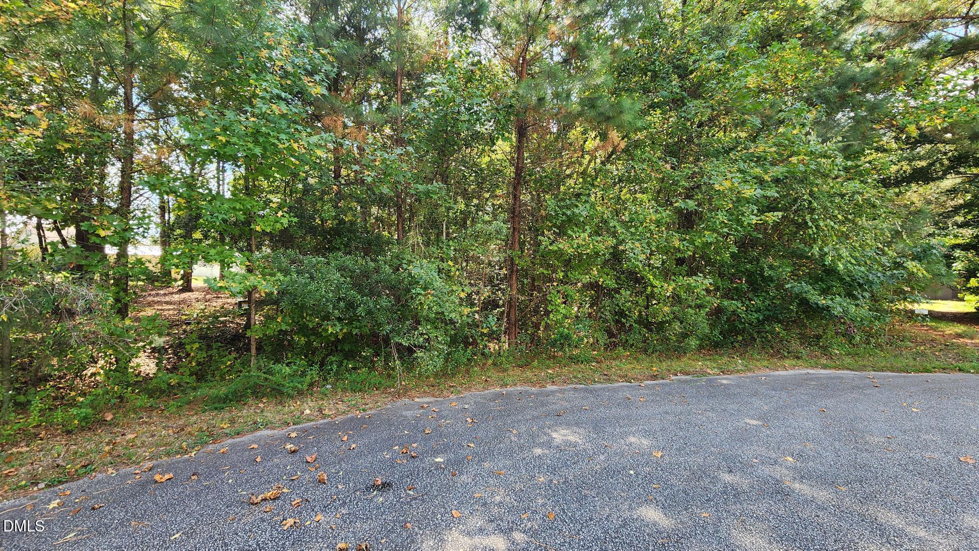 257 Fairhaven Drive Property Photo 3