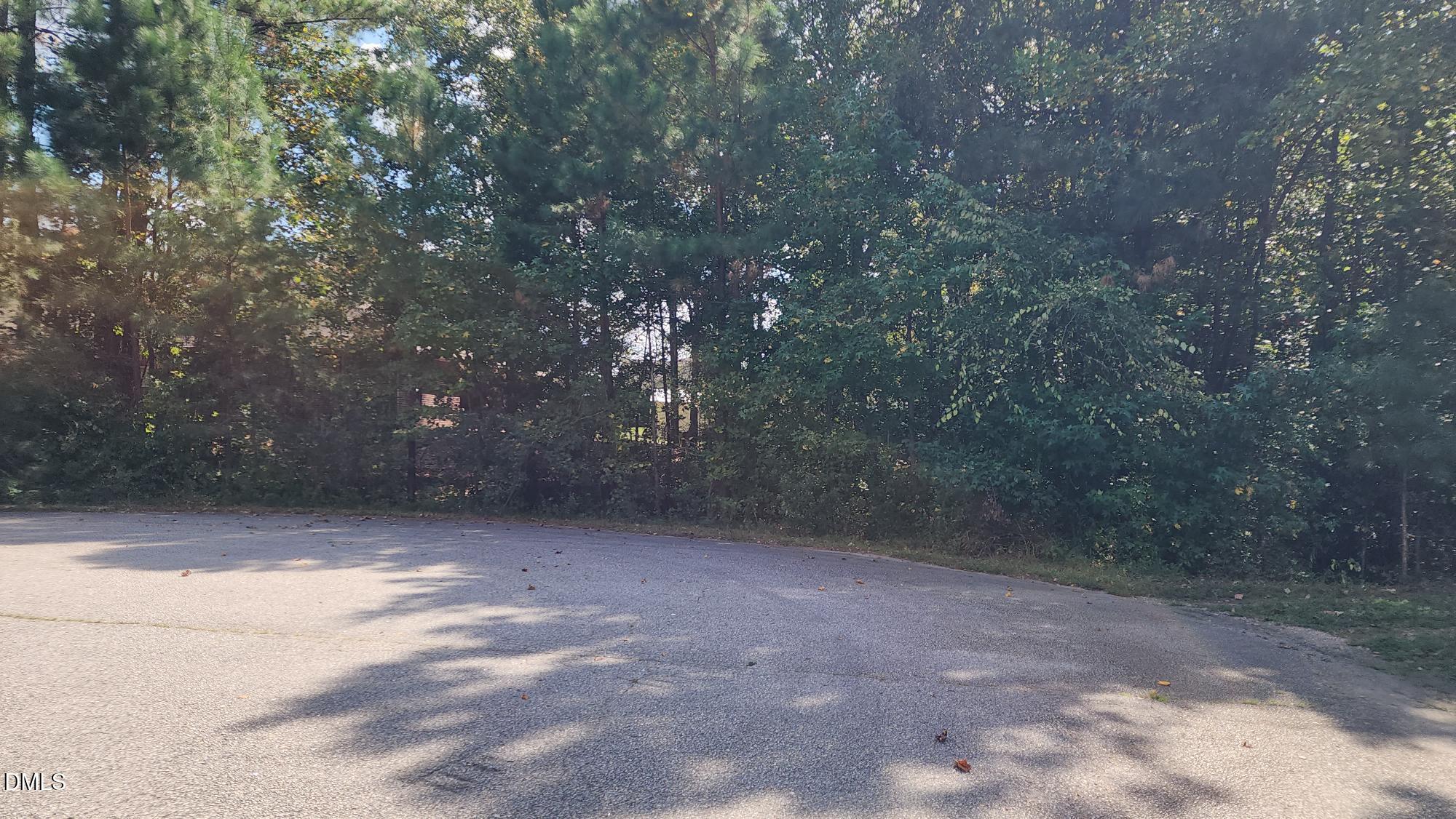 257 Fairhaven Drive Property Photo 4
