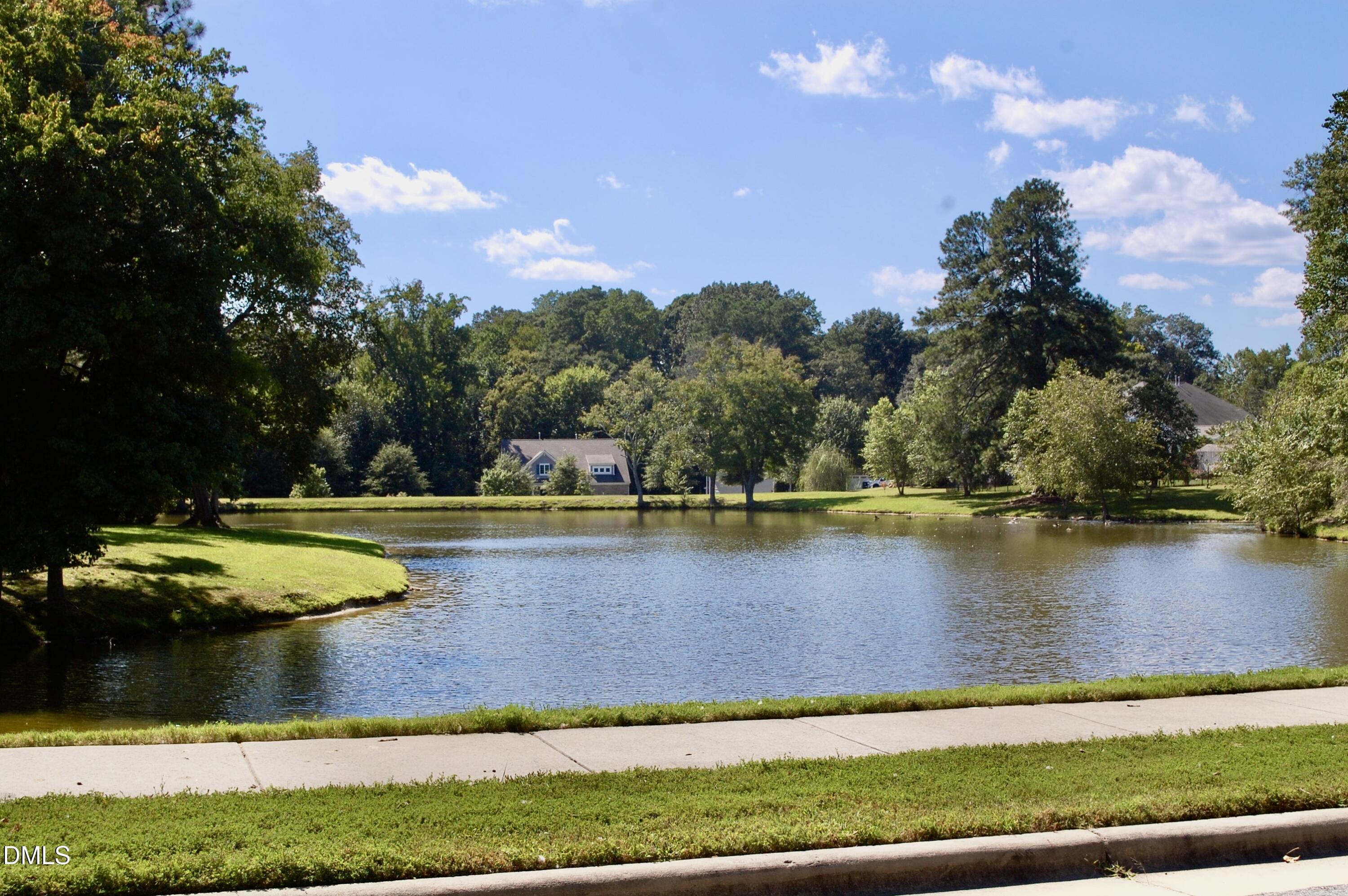 171 Pecan Harvest Drive Property Photo 13