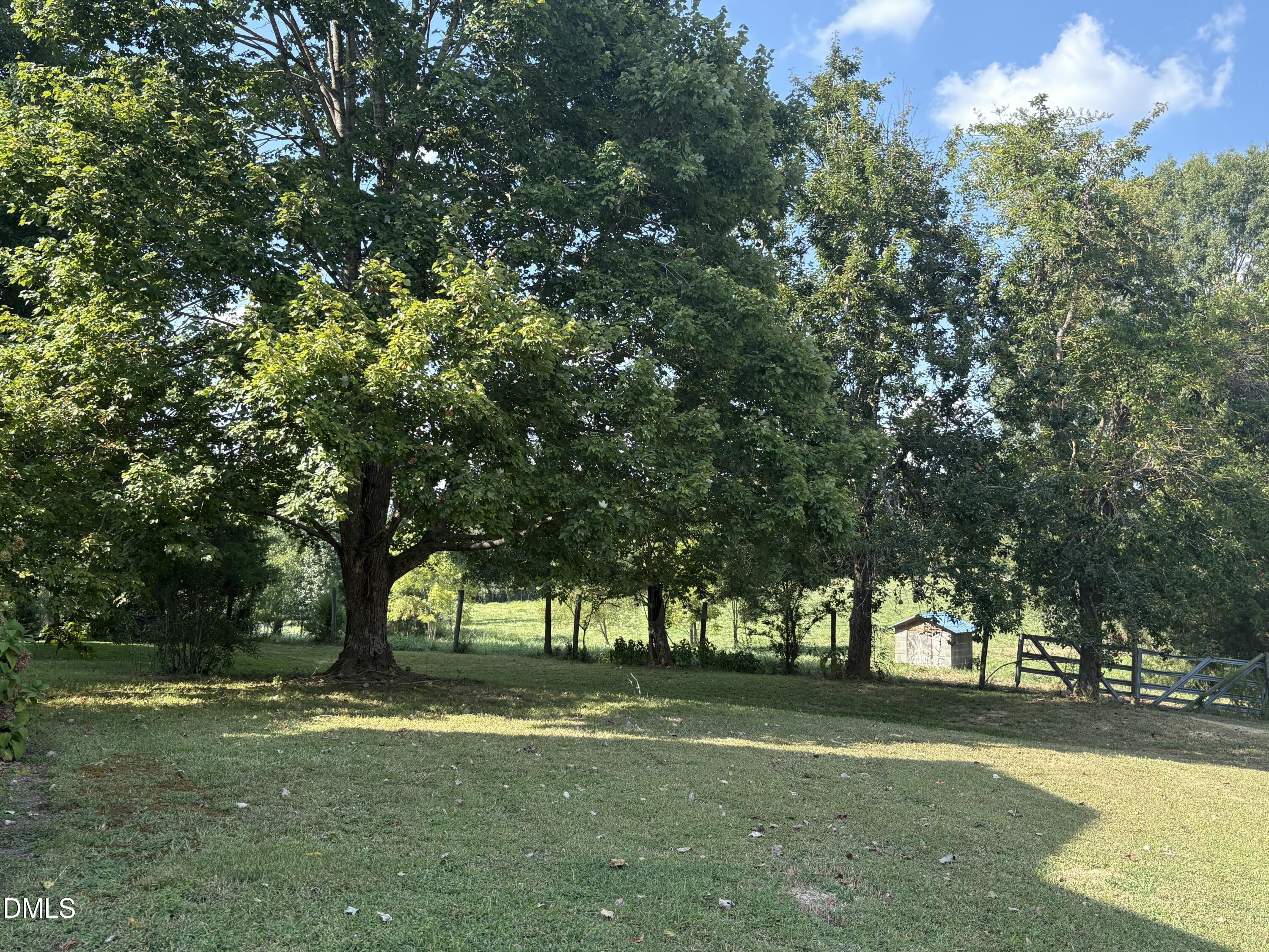 1204 Winfred Brady Road Property Photo 13