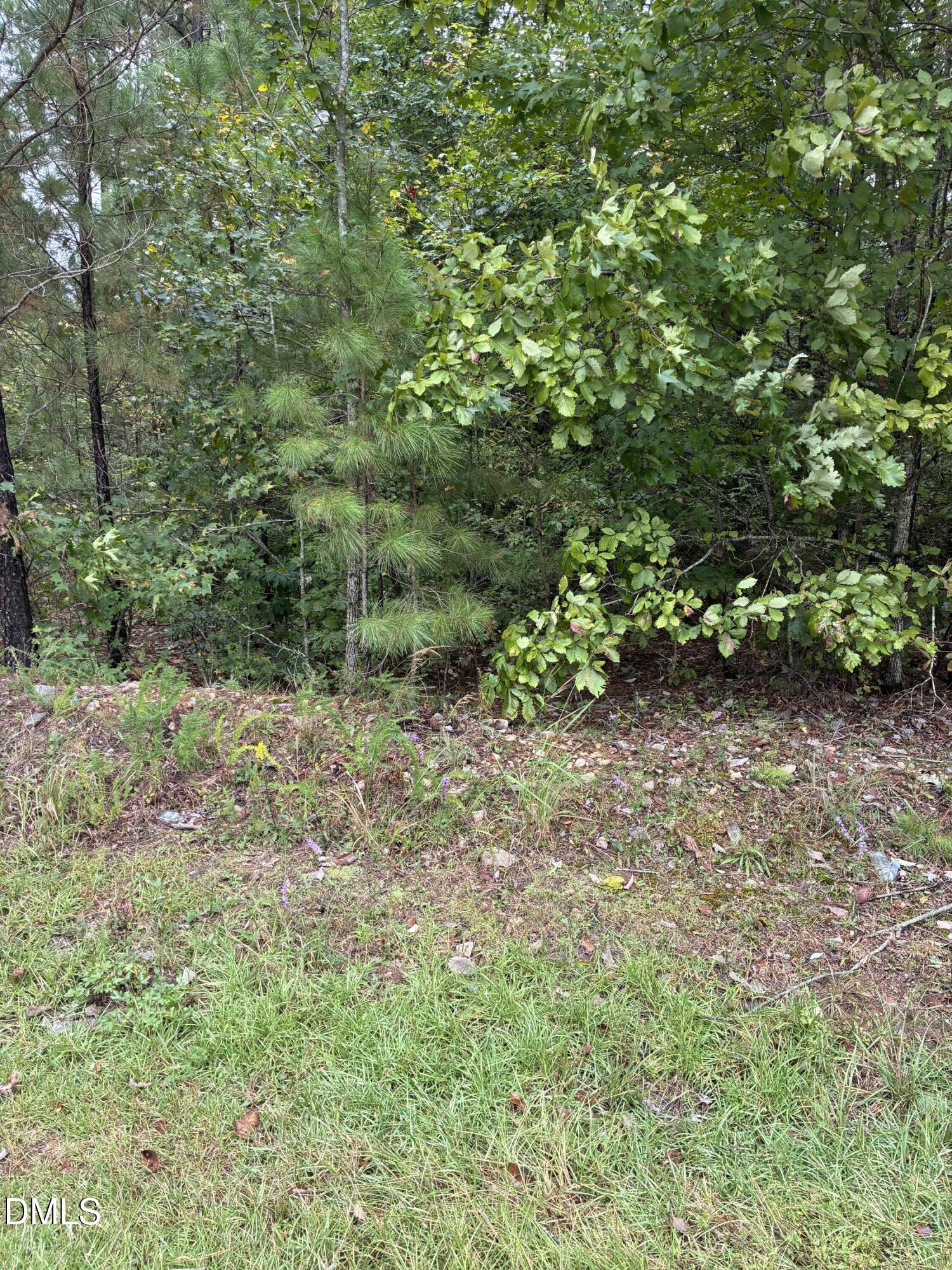 0 Gordon Moore Road Property Photo 1