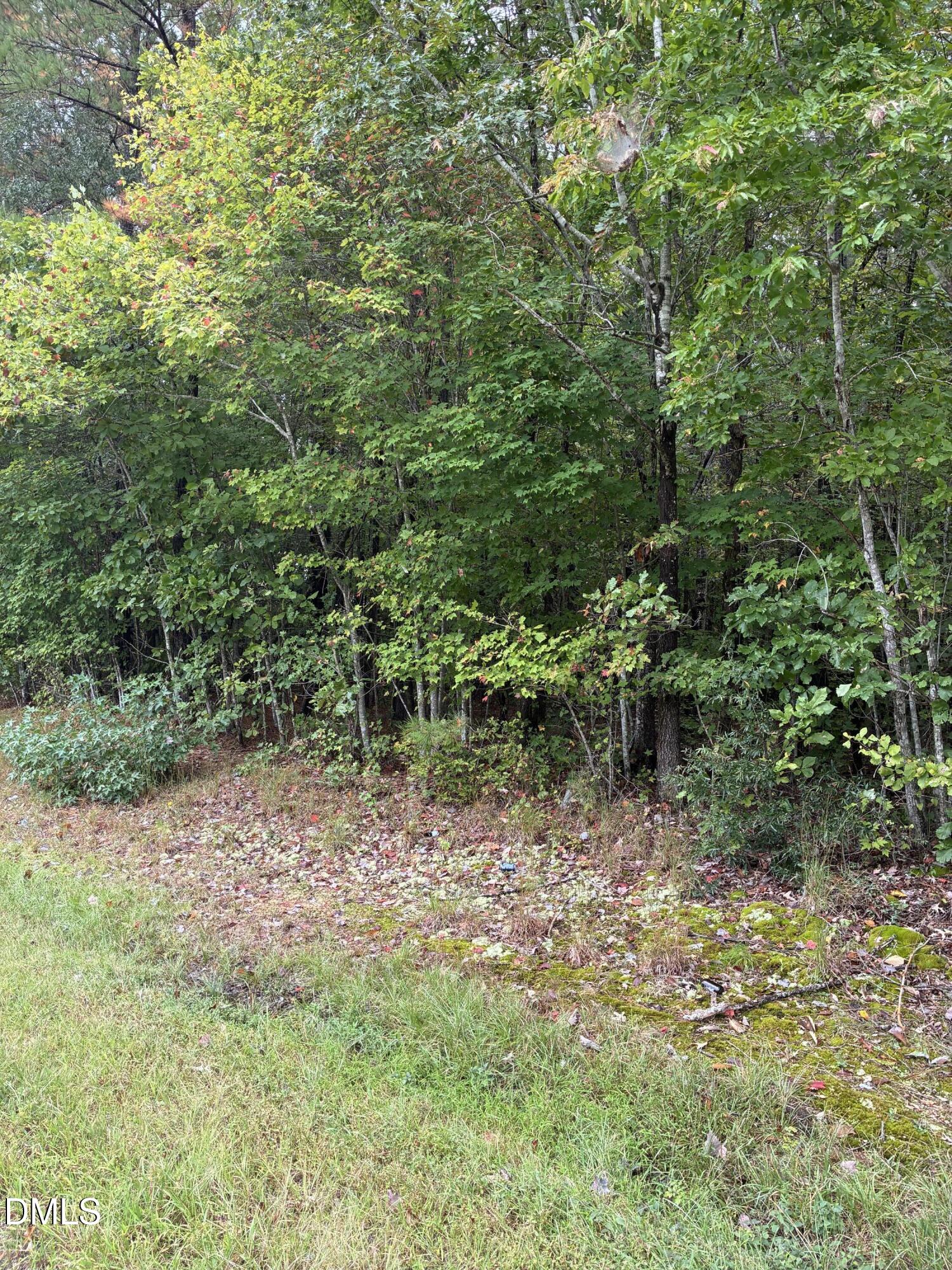 0 Gordon Moore Road Property Photo 2
