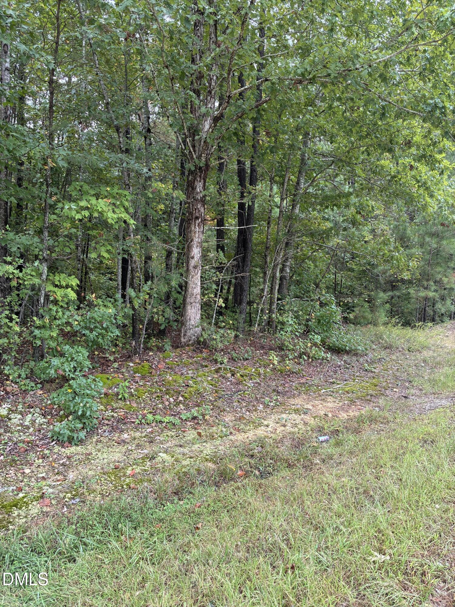 0 Gordon Moore Road Property Photo 3