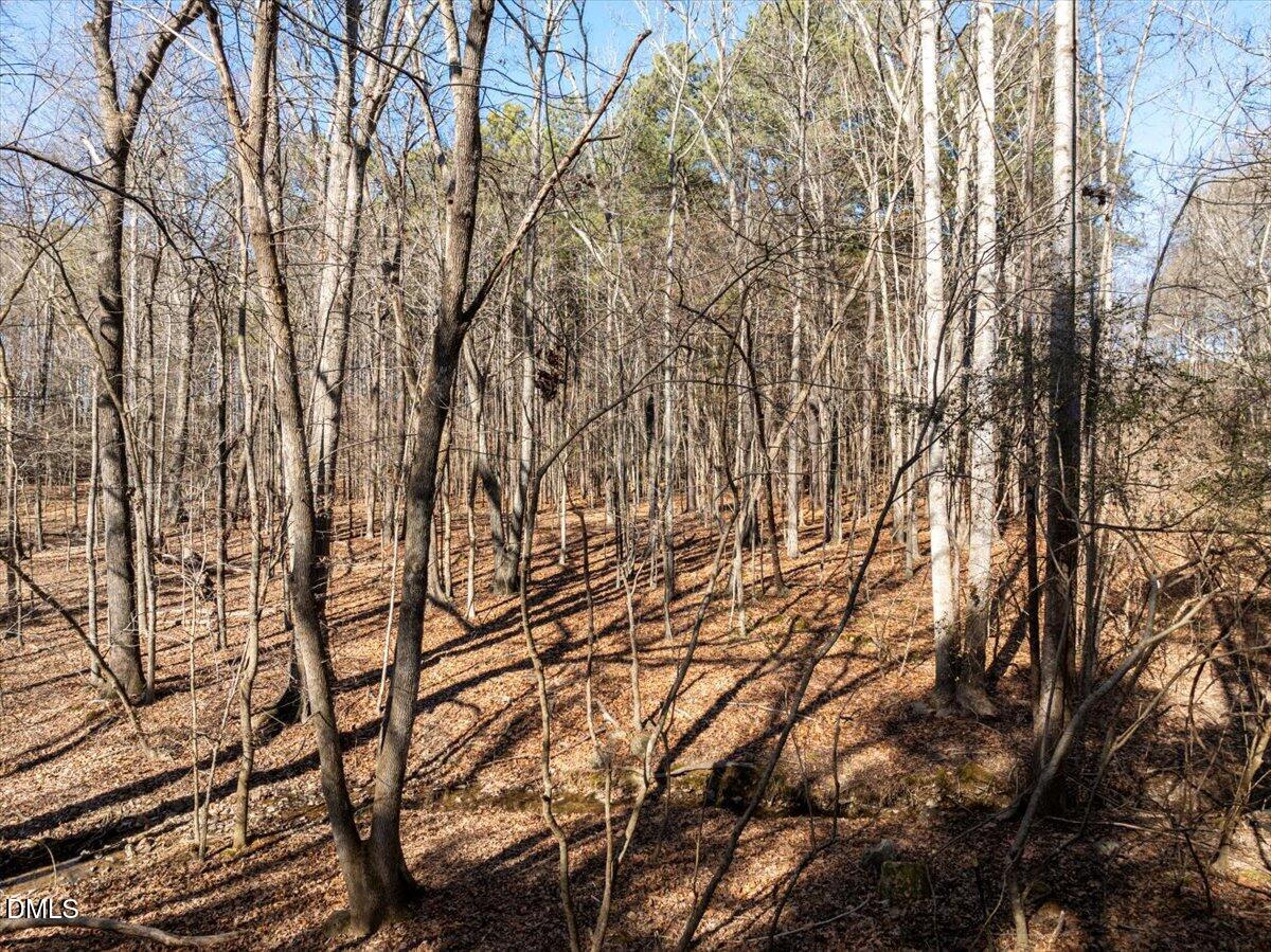 427 Vivaldi Drive Property Photo 15