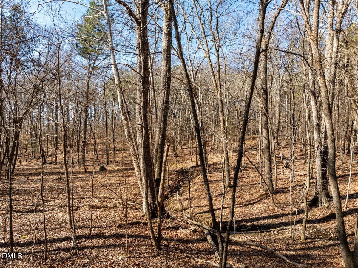 427 Vivaldi Drive Property Photo 16