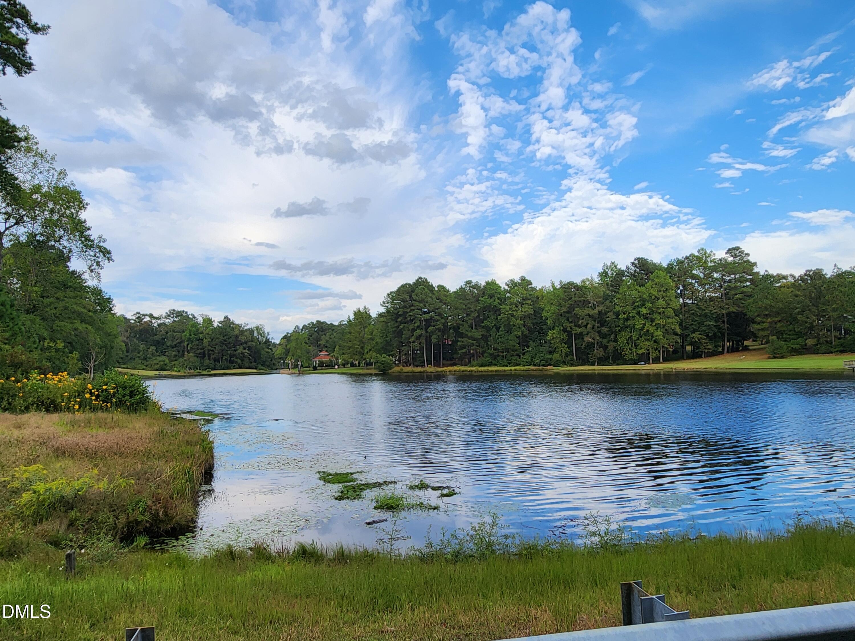 32.74 S Behind 778 Parker Church Road Property Photo 1