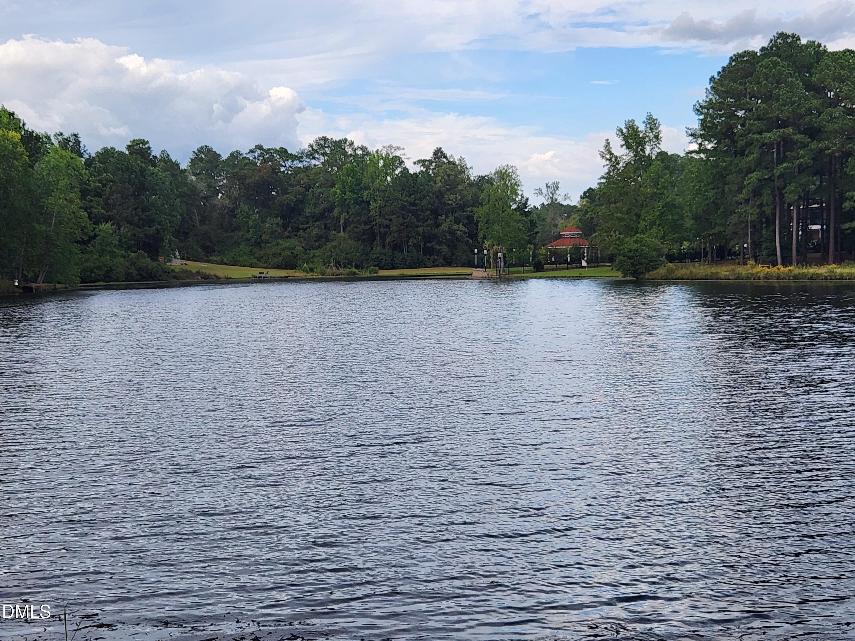 32.74 S Behind 778 Parker Church Road Property Photo 22