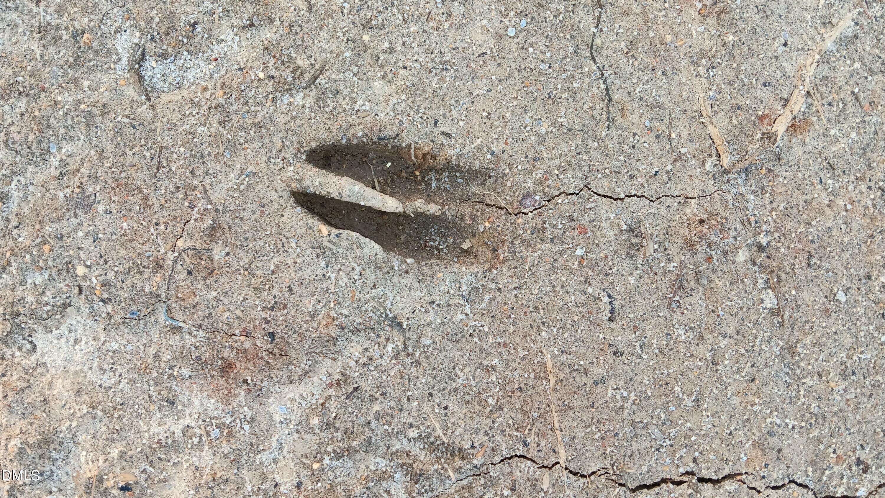 0 Cypress Creek Drive Property Photo 1