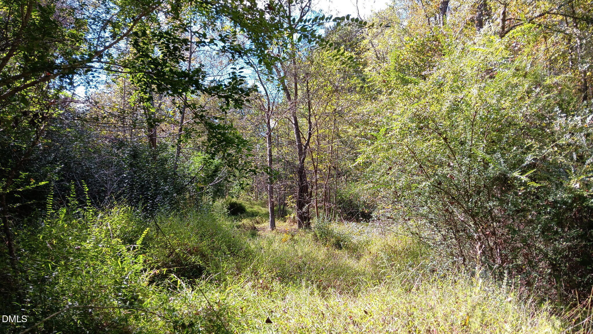 0 Cypress Creek Drive Property Photo 6