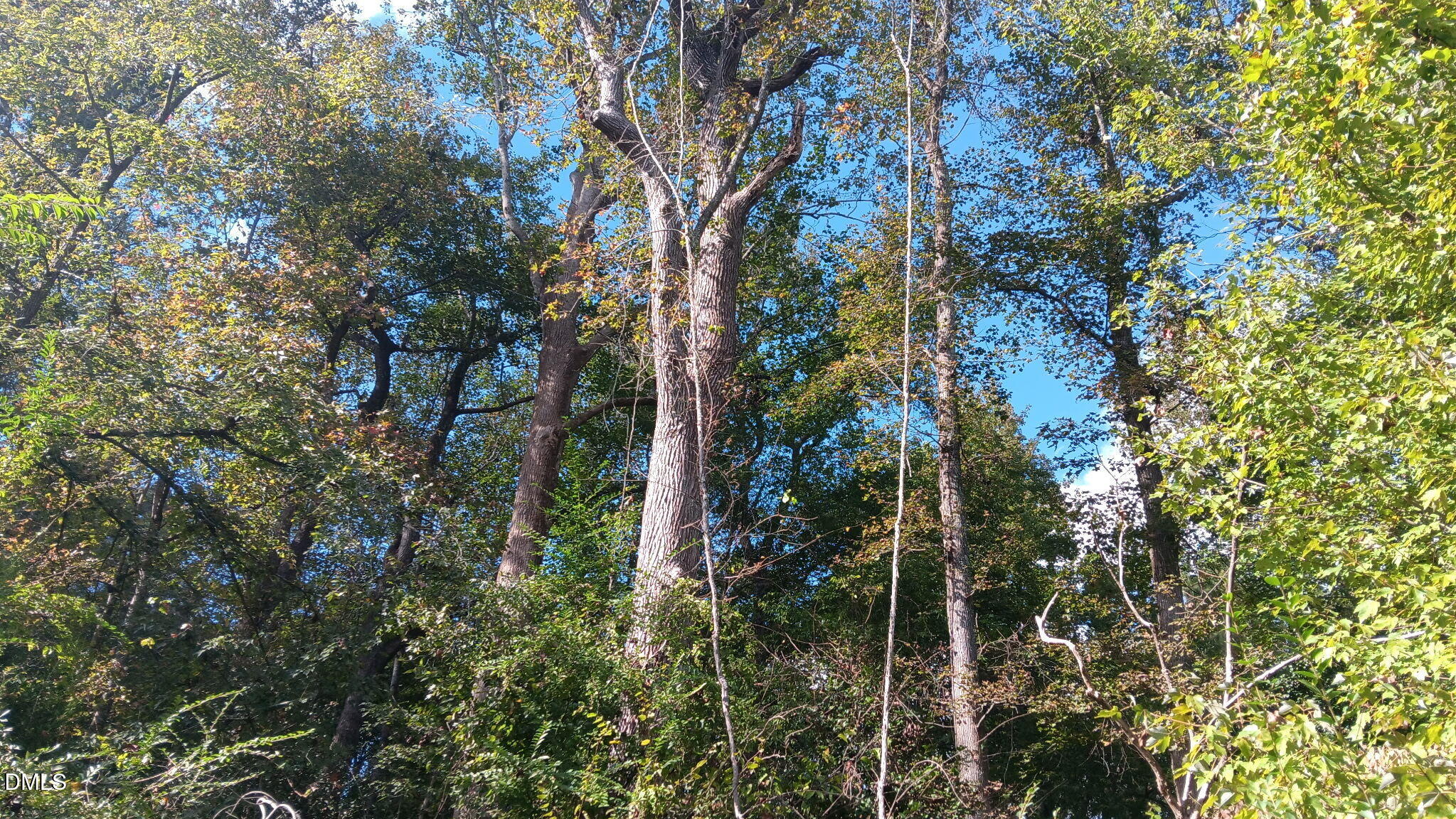 0 Cypress Creek Drive Property Photo 7