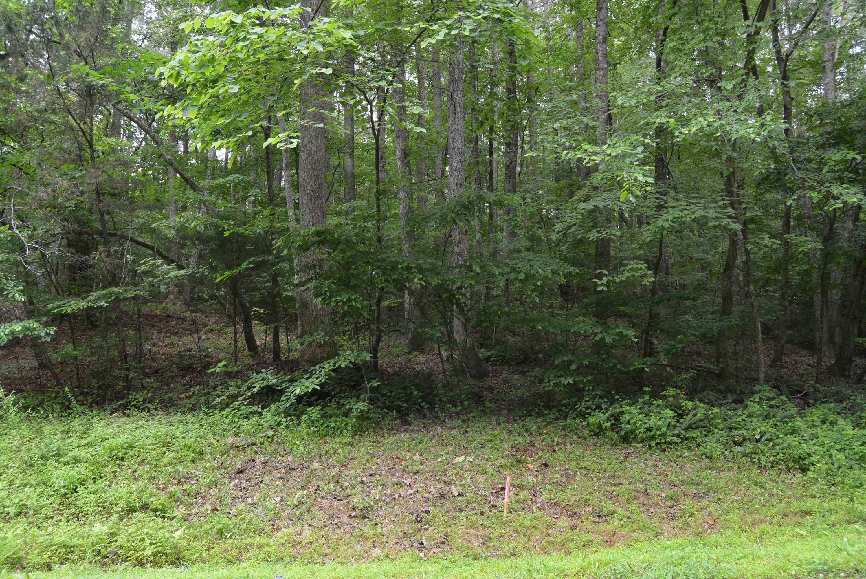 0 Tom Wright Road Property Photo 9