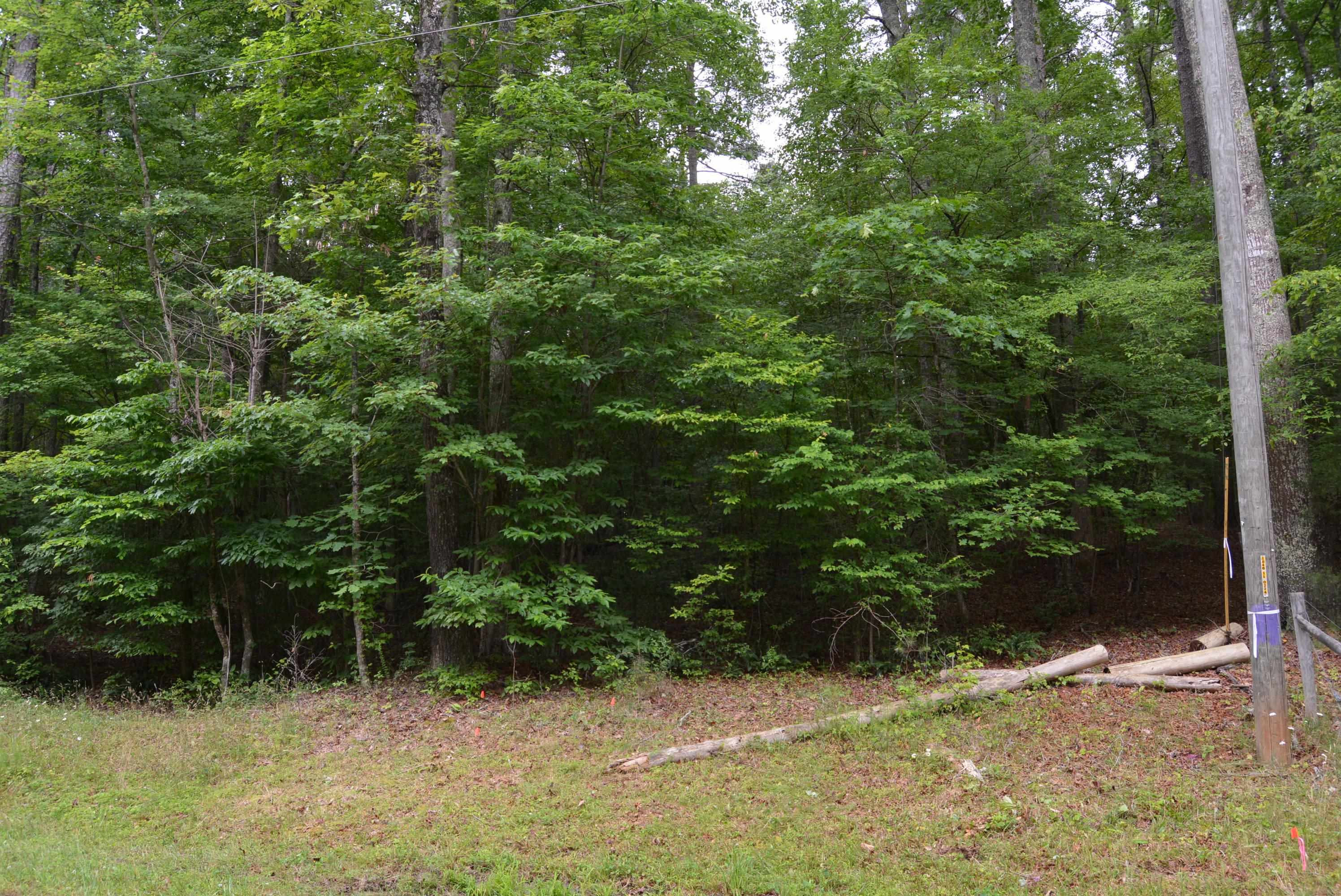 0 Tom Wright Road Property Photo 16