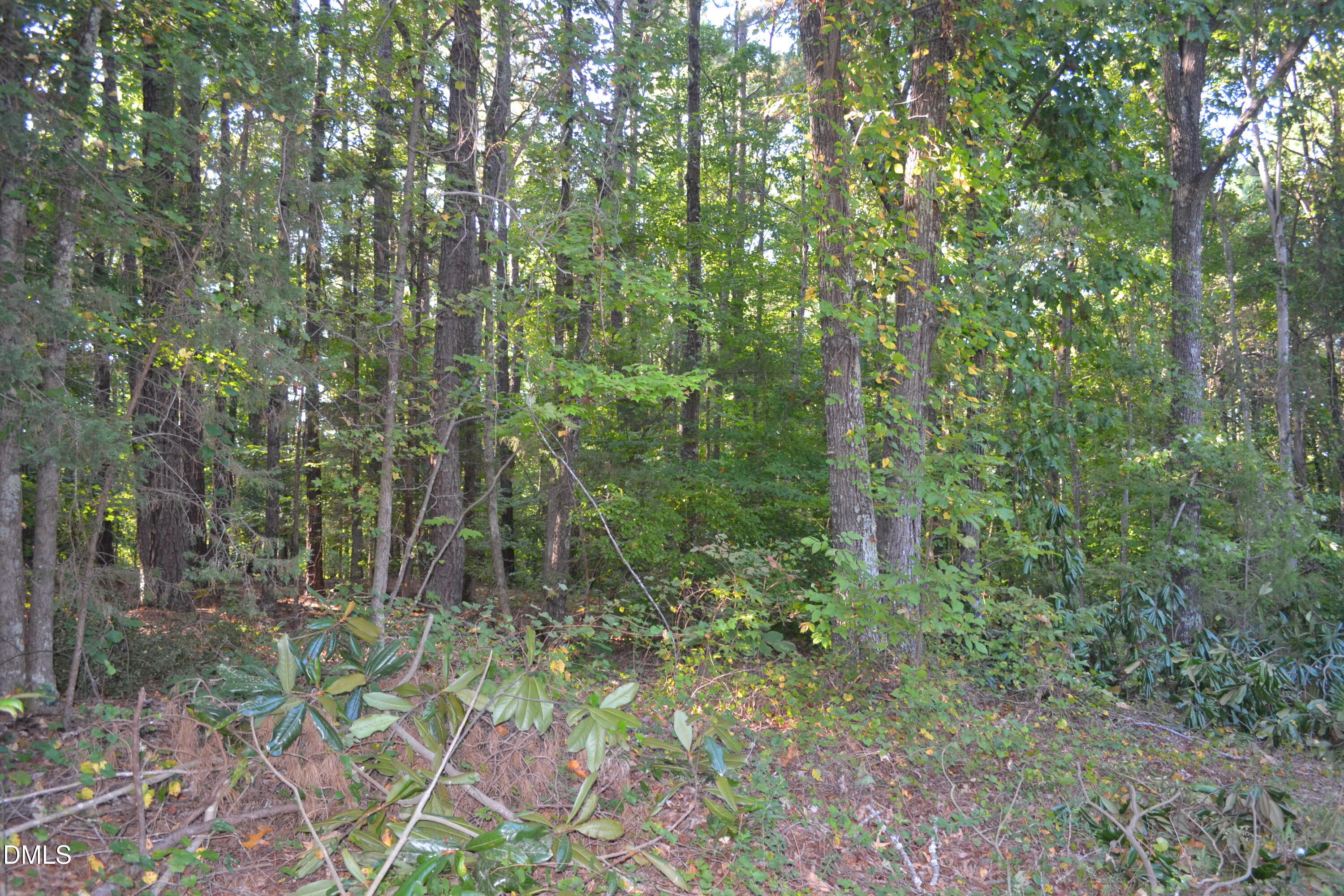 3533 Gibson Road Property Photo 6