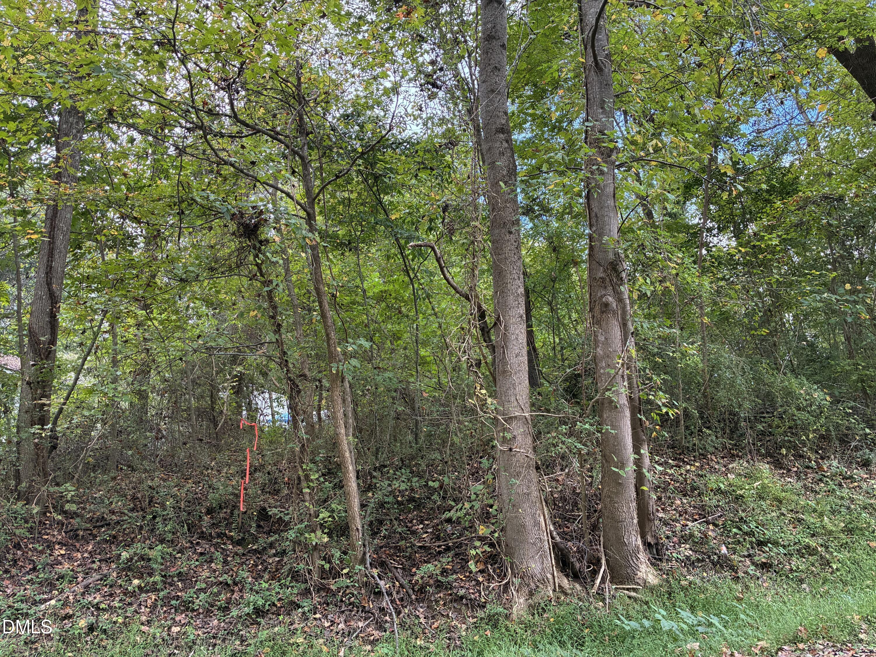 1100 Booker Street Property Photo 4