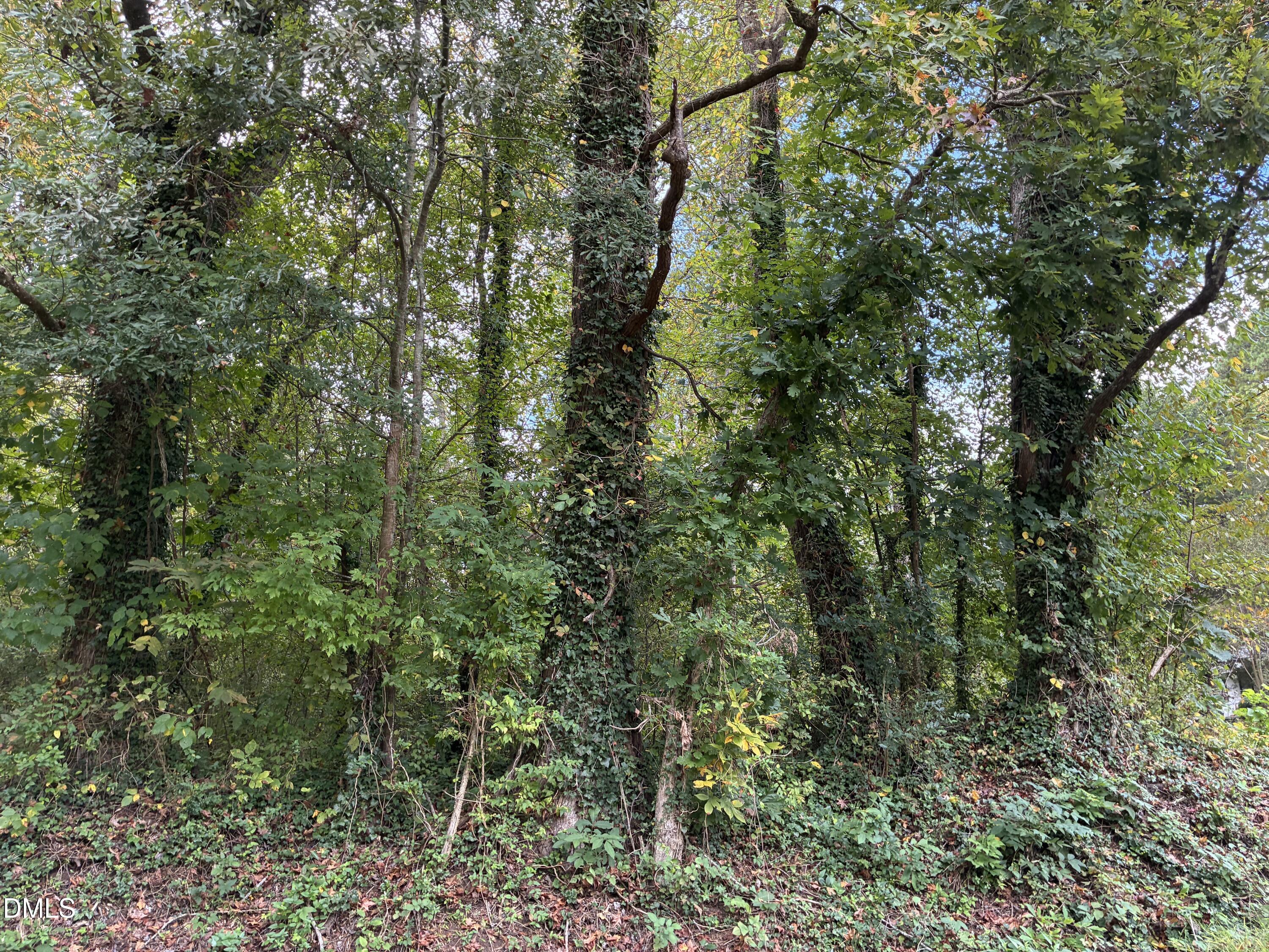 1100 Booker Street Property Photo 5