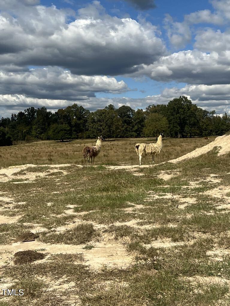 1925 Bunnlevel Erwin Road Property Photo 1