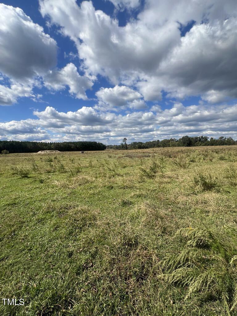 1925 Bunnlevel Erwin Road Property Photo 4