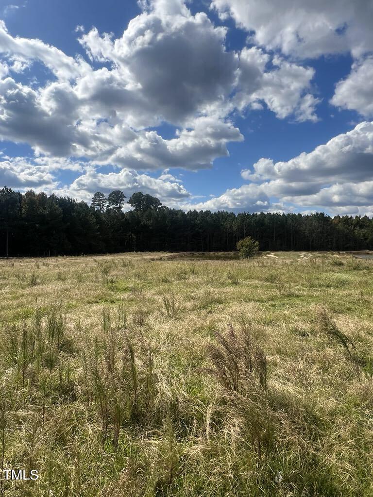 1925 Bunnlevel Erwin Road Property Photo 6