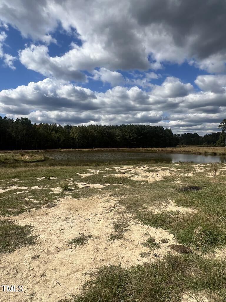 1925 Bunnlevel Erwin Road Property Photo 7