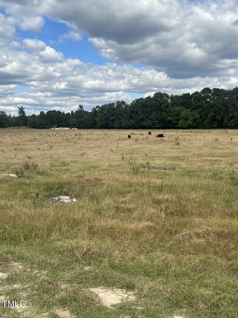 1925 Bunnlevel Erwin Road Property Photo 8