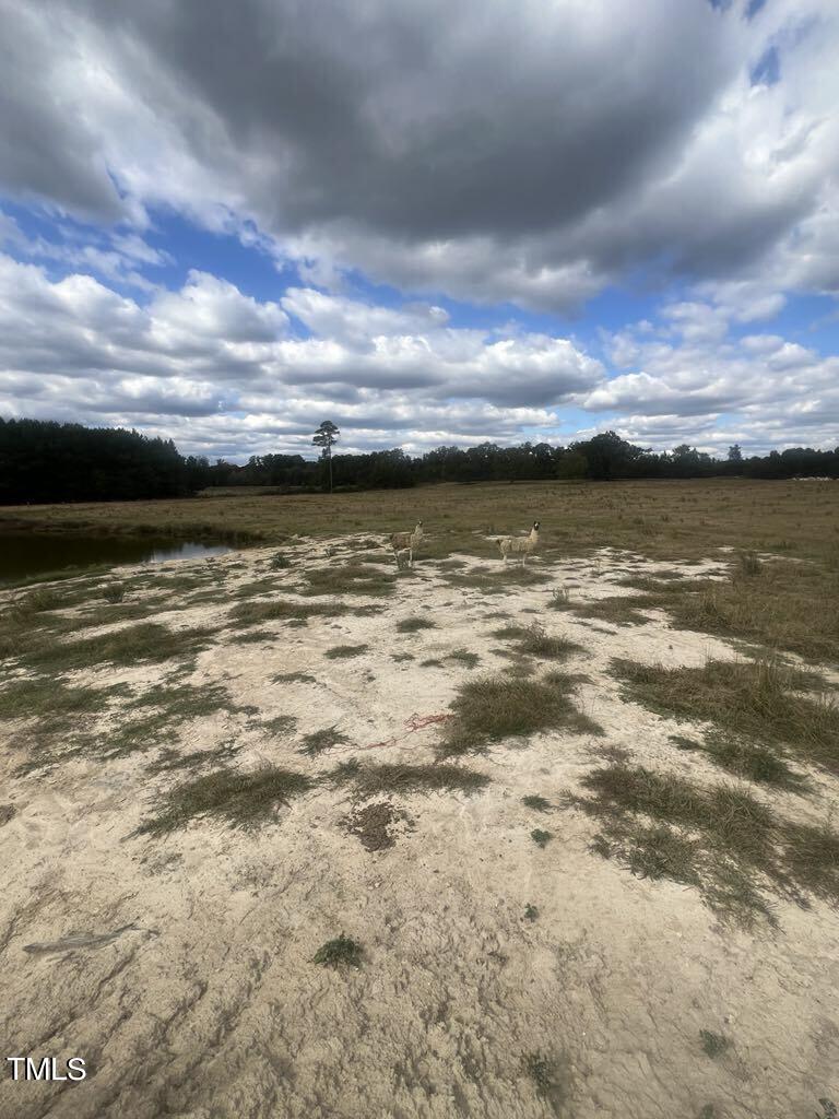 1925 Bunnlevel Erwin Road Property Photo 9