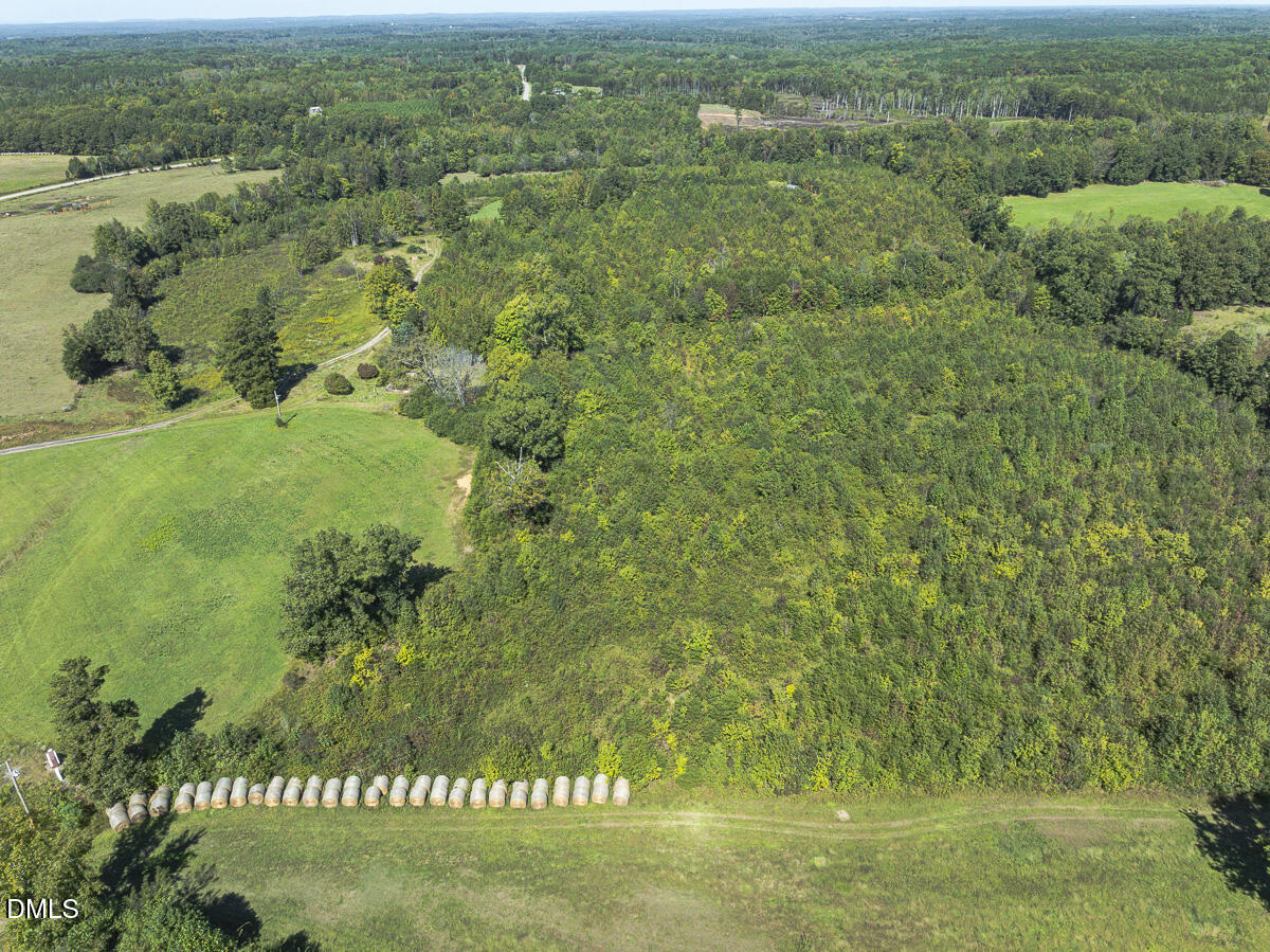 173 Barker Road Property Photo 7