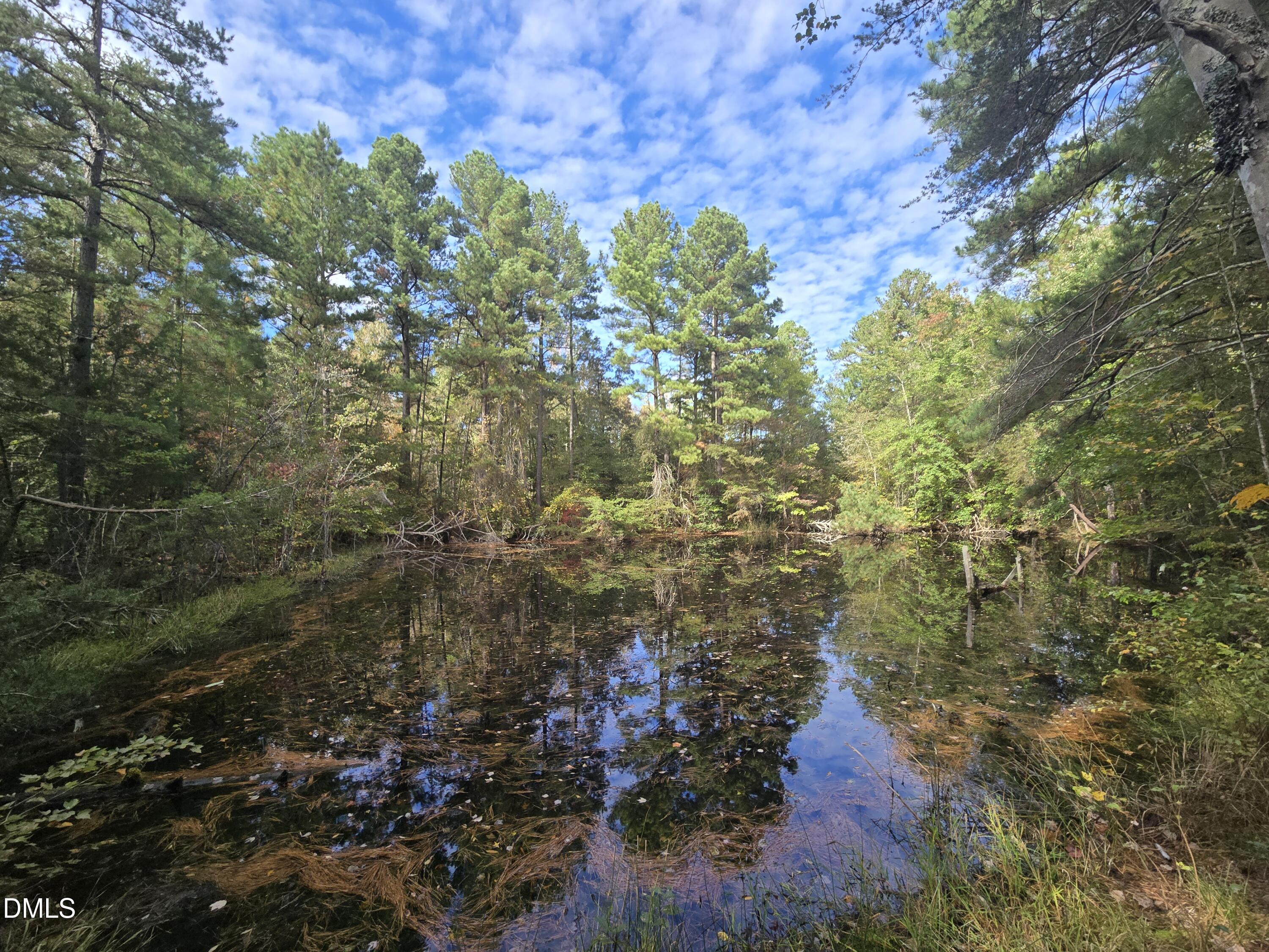 0 Bass Mountain Road Property Photo 1
